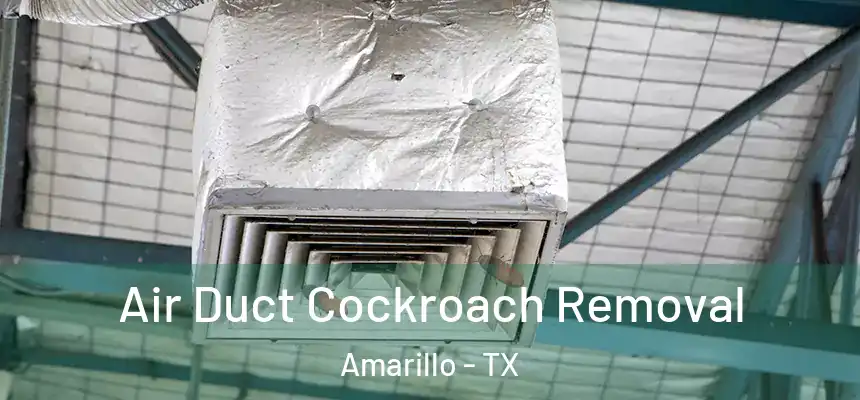  Air Duct Cockroach Removal Amarillo - TX