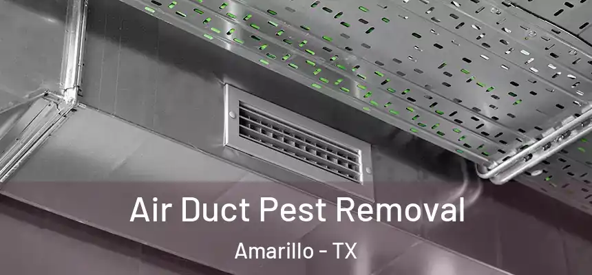  Air Duct Pest Removal Amarillo - TX