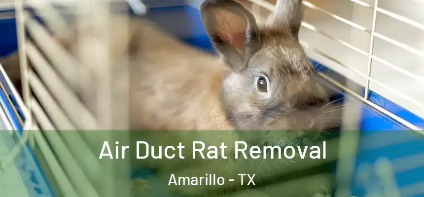 Air Duct Rat Removal Amarillo - TX