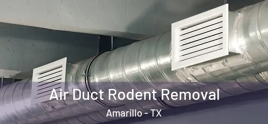 Air Duct Rodent Removal Amarillo - TX