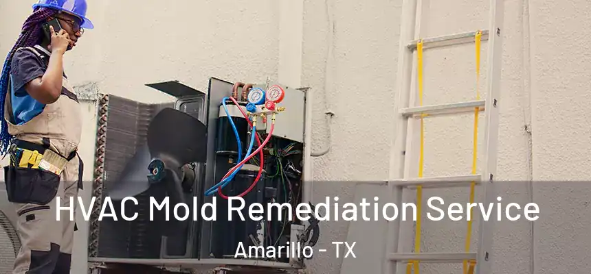  HVAC Mold Remediation Service Amarillo - TX