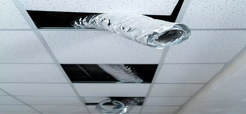 Our Air Duct Pet Hair Removal Services in Amarillo, TX