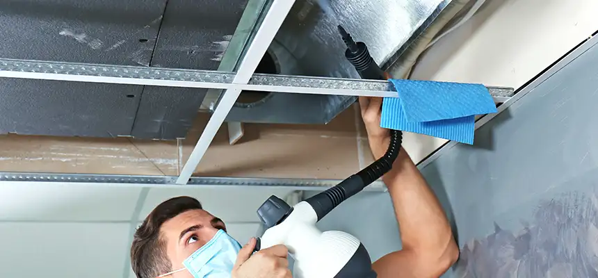 Our Air Duct Rodent Removal Services in Amarillo, TX
