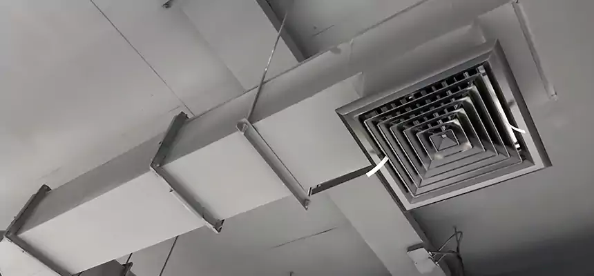 Our Rodent Droppings In Vents Services in Amarillo, TX