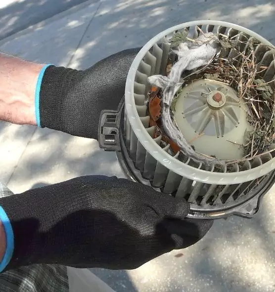 About Air Duct Rat Removal in Amarillo, TX