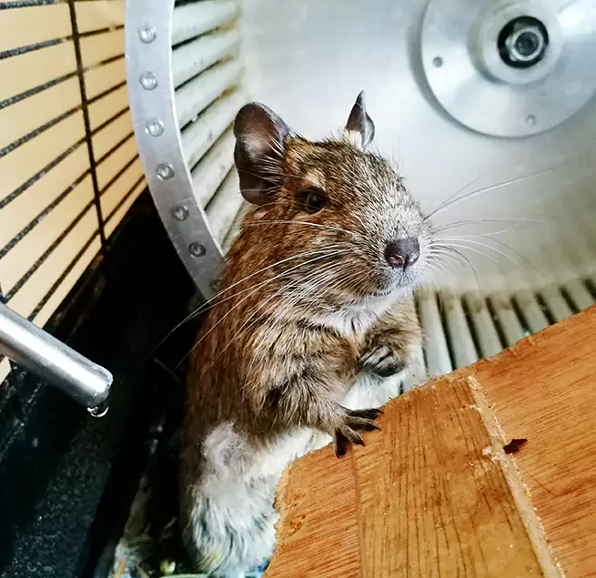 Why Homeowners & Businesses Trust Us Amarillo, TX