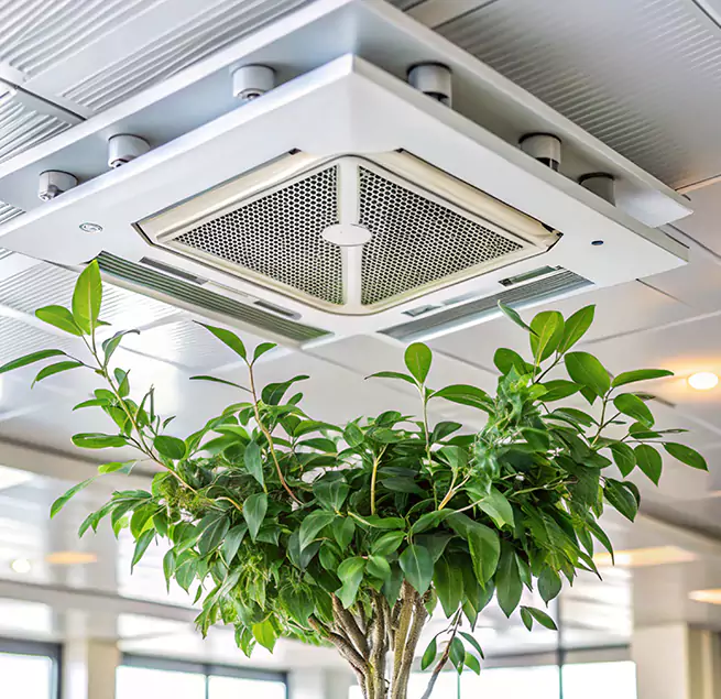 Why Homeowners & Businesses Trust Us in Amarillo, TX?